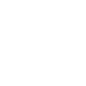 logo_grises_dm_tu_casa_inmobiliaria_bienes_raices_cdmx_02